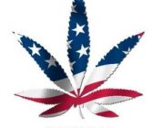 Prohibiting Marijuana Is Just Wrong